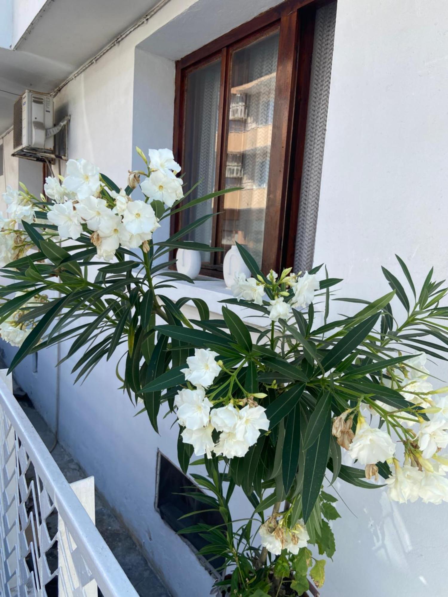 Guest House Hei Taka Sozopol Luaran gambar
